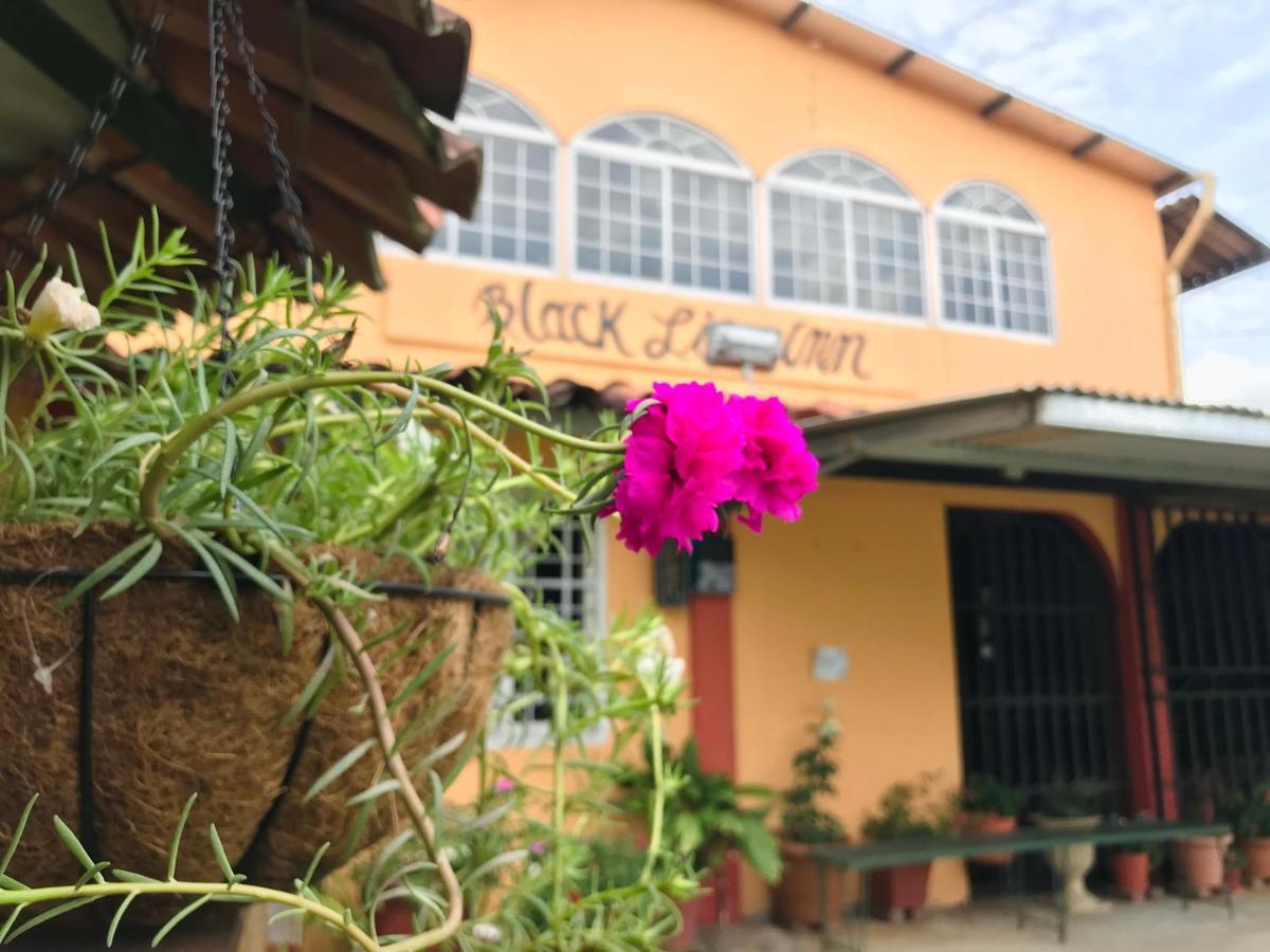 Black Lion Inn Santiago Kültér fotó